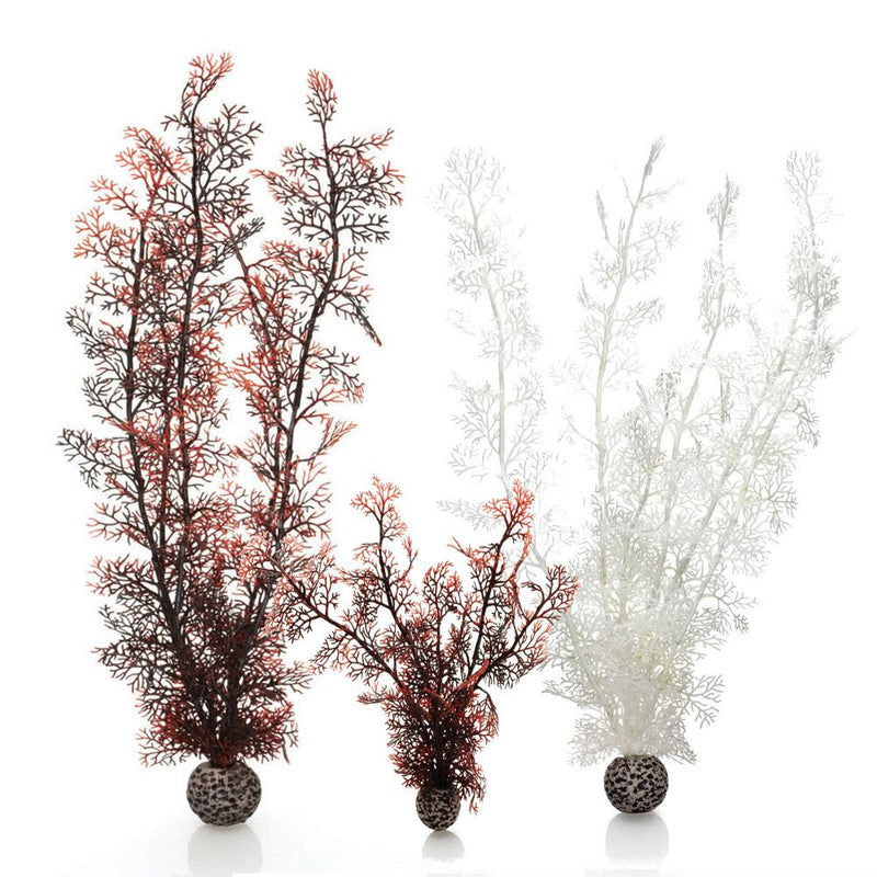 Oase biOrb Sea Fan Aquarium Plants