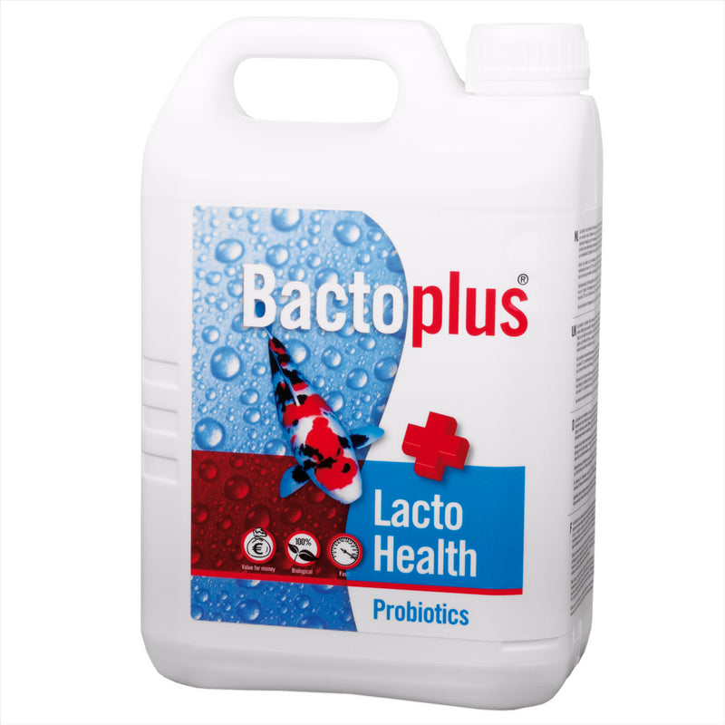 Bactoplus Lacto Health Treatments