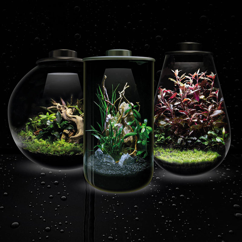 BioArt Nano LED Terrarium Tanks