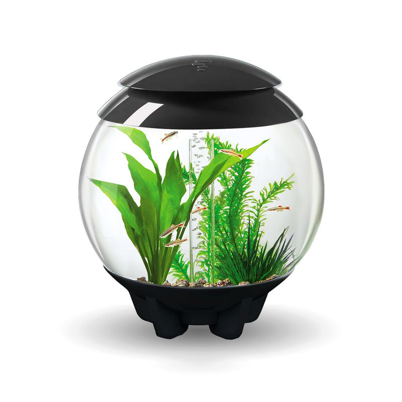 BiOrb Halo 15L Aquarium Grey with MCR Lighting