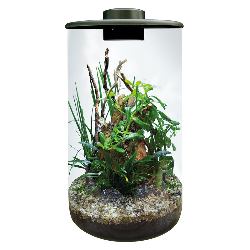 BioArt Nano LED Terrarium Tanks