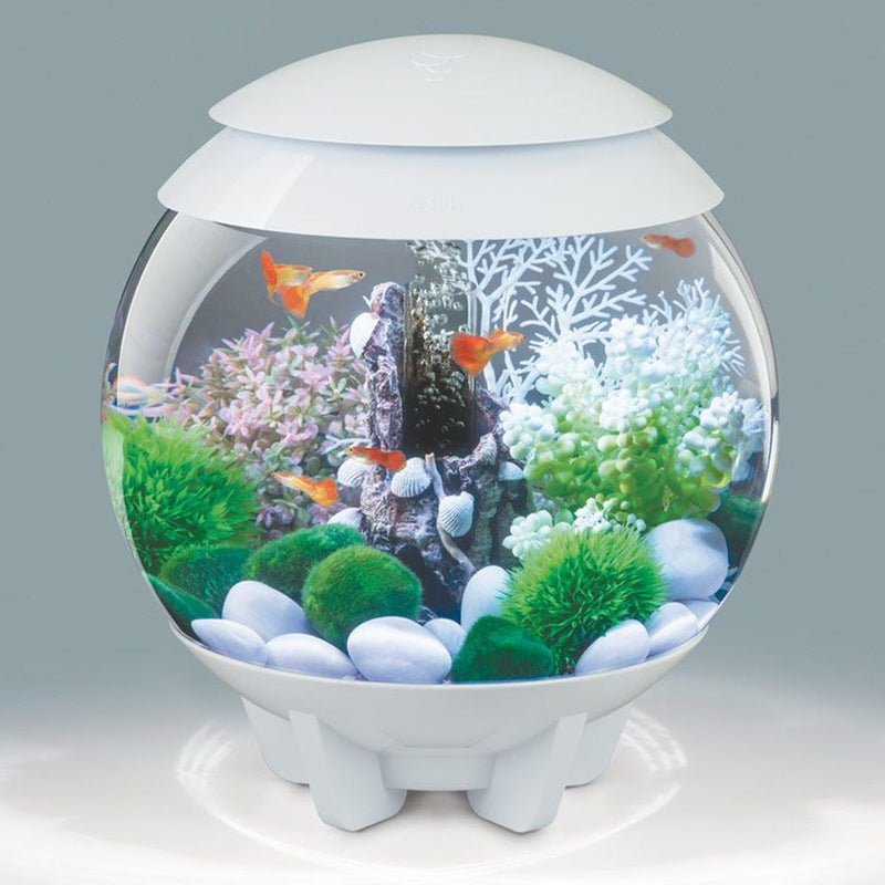 BiOrb Halo 15L Aquarium White with MCR Lighting