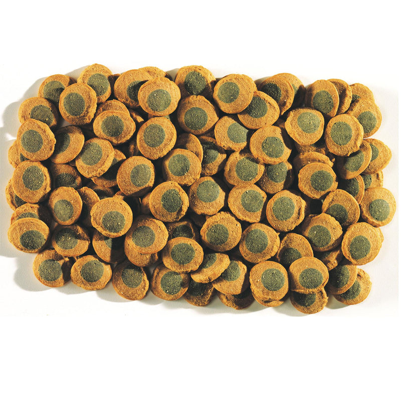 Tetra Pleco 2 in 1 Algae Wafers