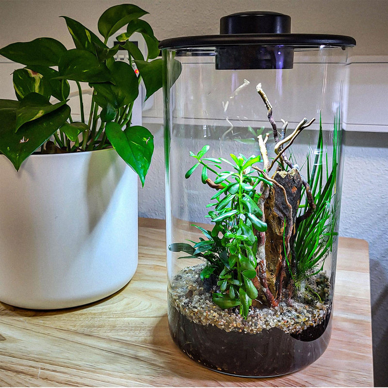 BioArt Nano LED Terrarium Tanks