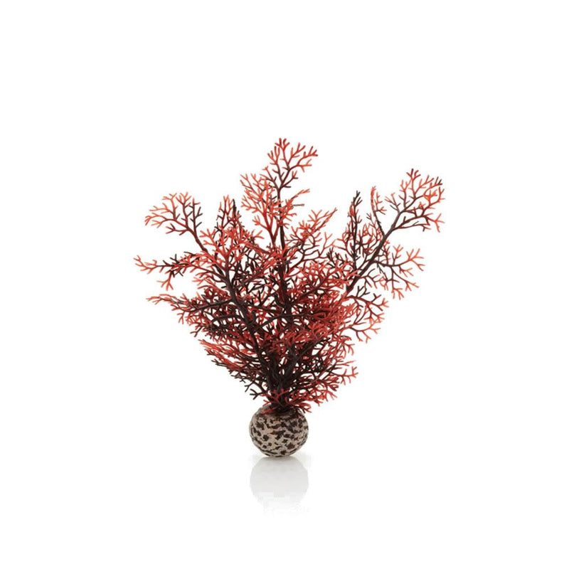 Oase biOrb Sea Fan Aquarium Plants