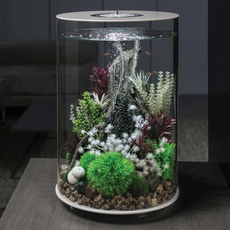 Oase biOrb Amazonas Root and Elements Aquarium Ornaments