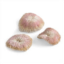 Oase BiOrb Plate Coral Set of 3 Ornament Aquarium Decorations