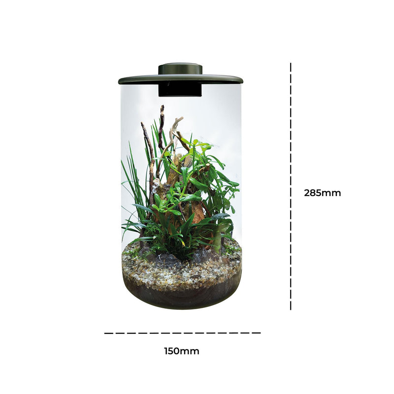 BioArt Nano LED Terrarium Tanks