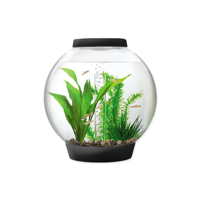 Baby biOrb 15L Black Aquarium with MCR LED Lighting