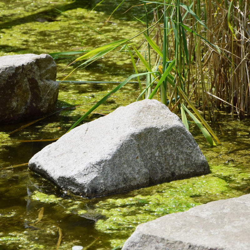 Tetra Pond Algofin Treatment