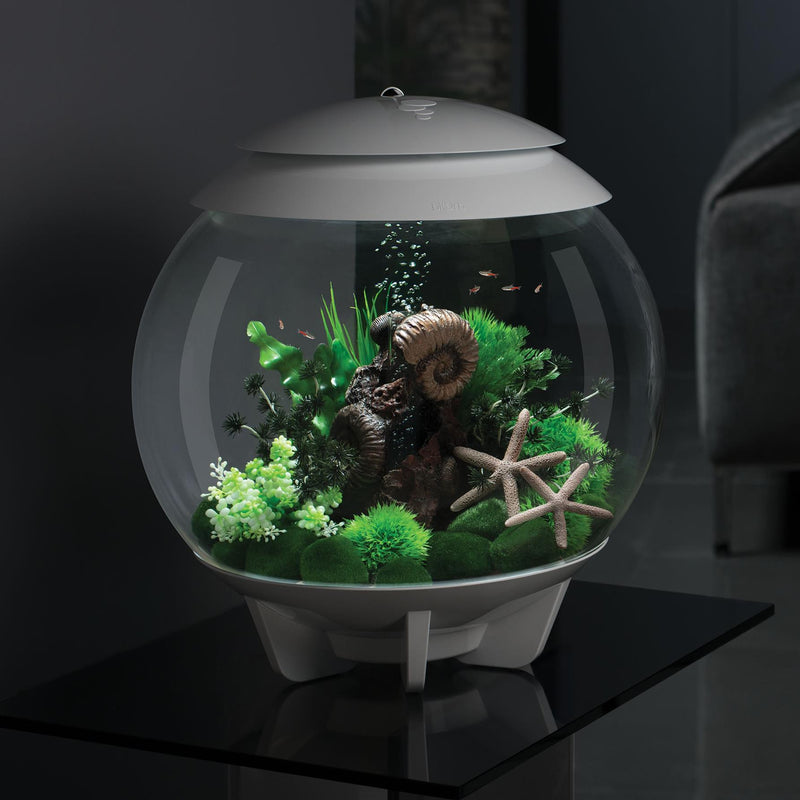 biOrb Halo 30L White Aquarium with MCR LED Lighting