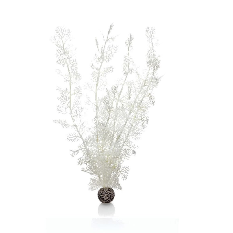 Oase biOrb Sea Fan Aquarium Plants