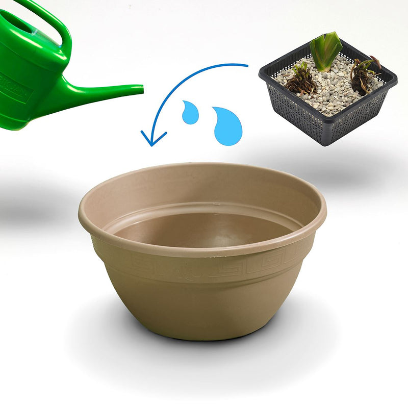 Moerings Patio Pond Plant Set