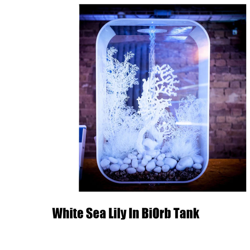 biOrb Sea Lily Aquarium Decorations