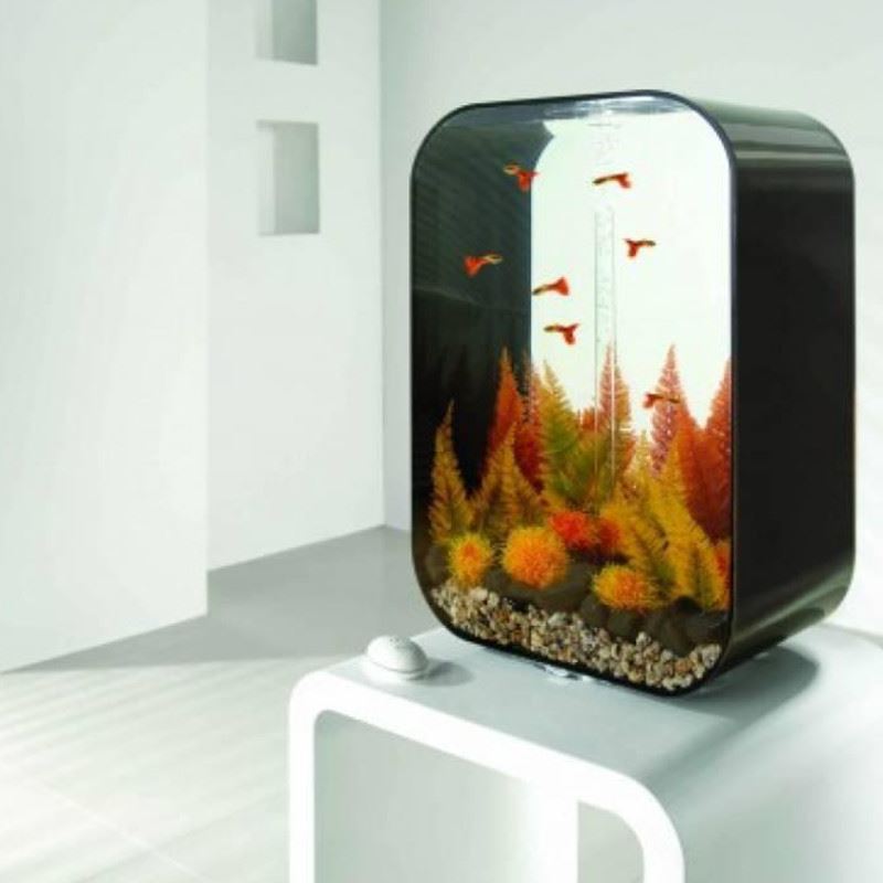 Oase biOrb Aquarium Easy Plant Packs