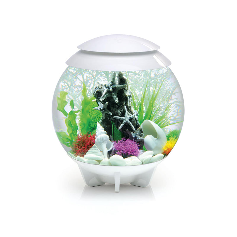 Oase biOrb Aquatic Colour Ball 3 Set