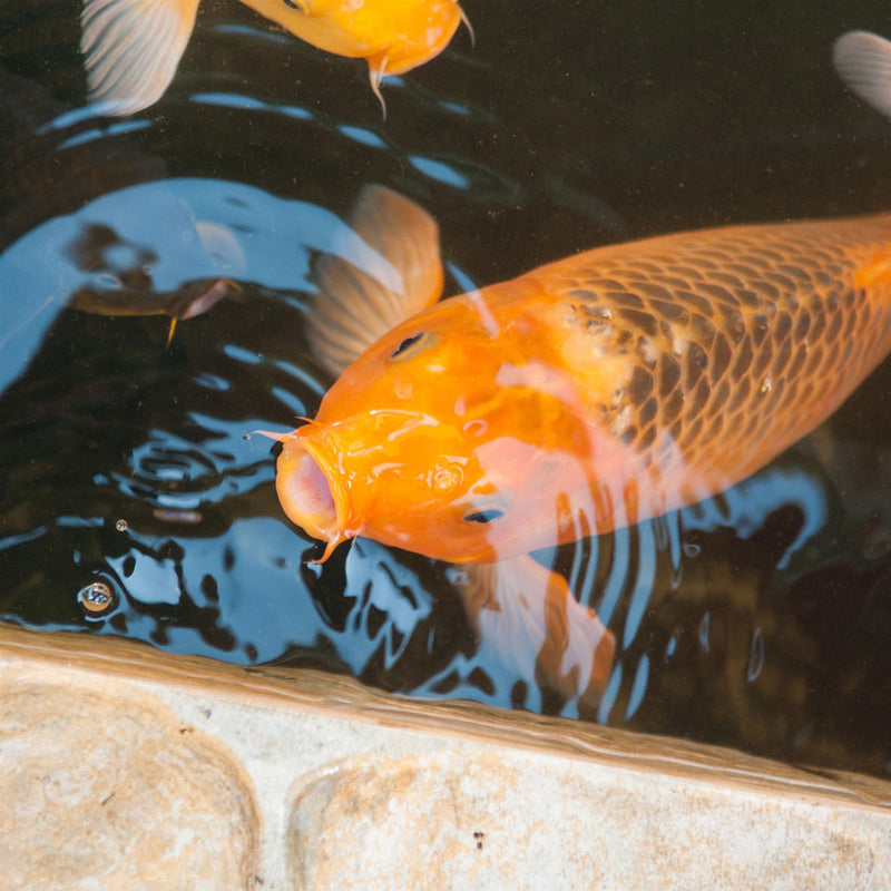 Tetra Floating Pond Sticks Fish Food