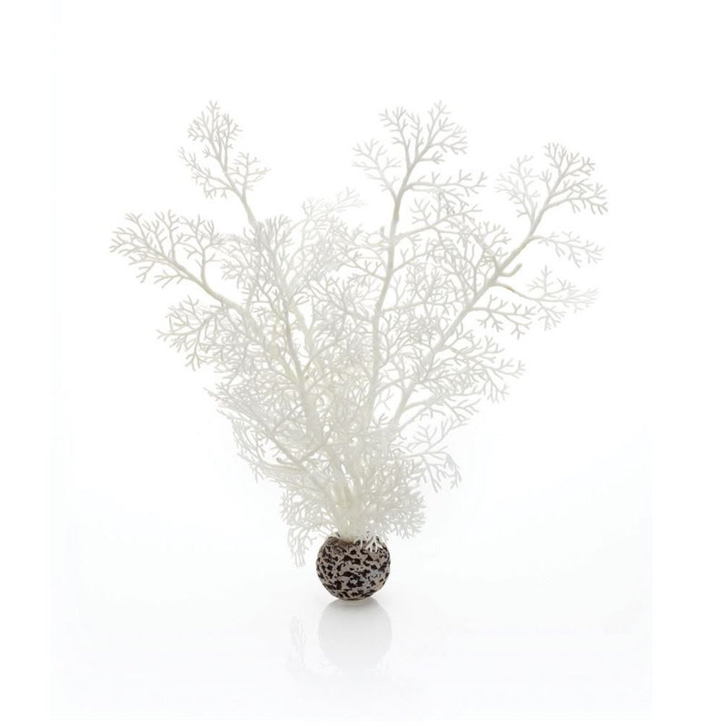 Oase biOrb Sea Fan Aquarium Plants