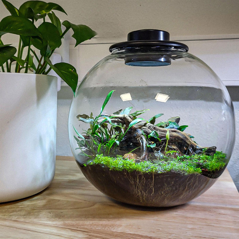 BioArt Nano LED Terrarium Tanks