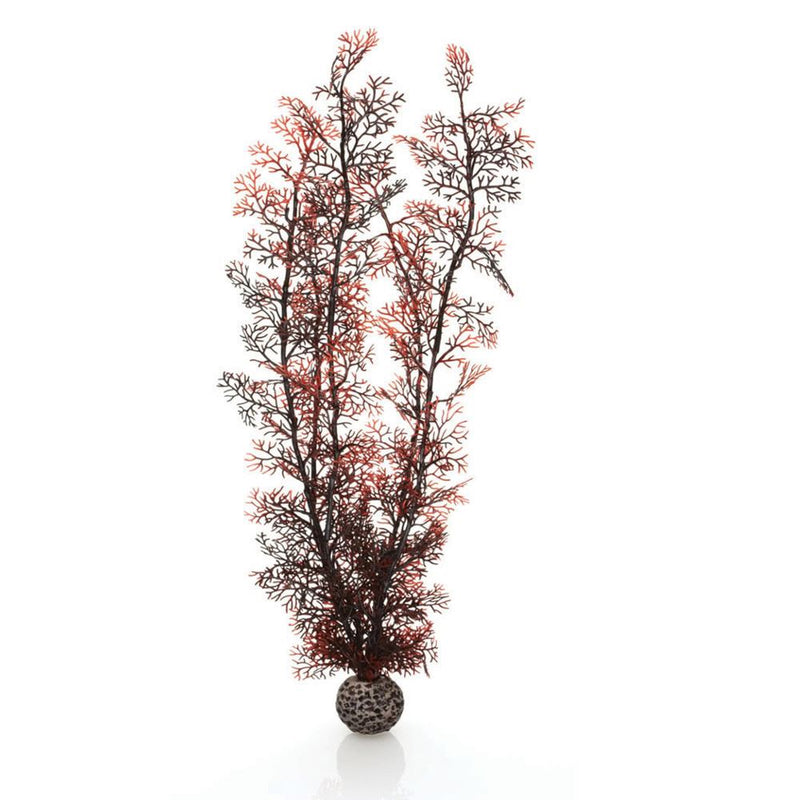 Oase biOrb Sea Fan Aquarium Plants