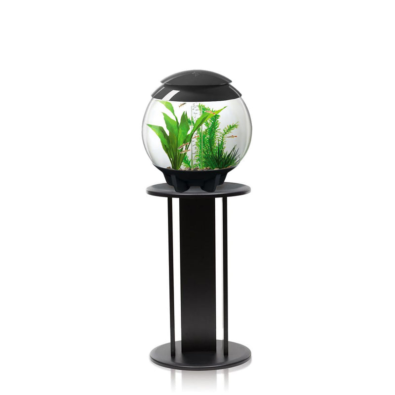 BiOrb Halo 15L Aquarium Grey with MCR Lighting