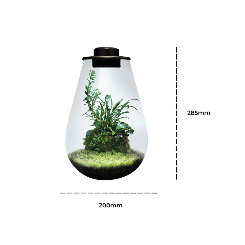 BioArt Nano LED Terrarium Tanks