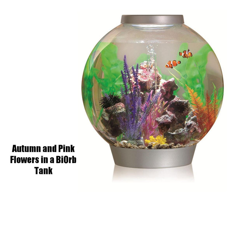 Oase biOrb Aquarium Easy Plant Packs