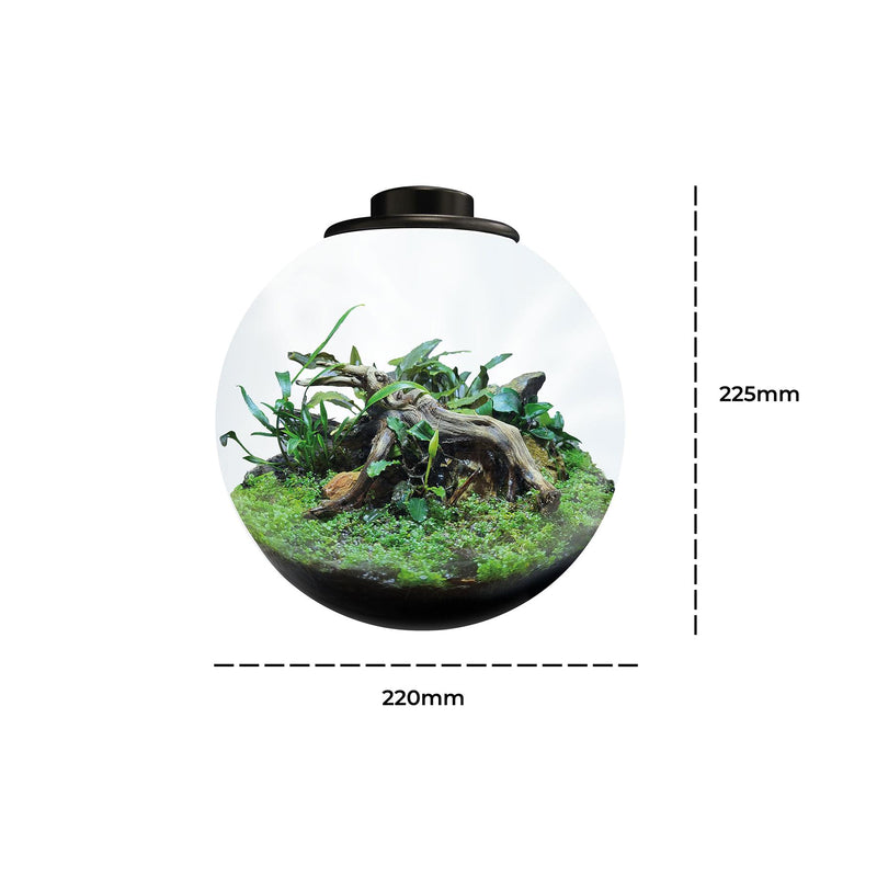 BioArt Nano LED Terrarium Tanks