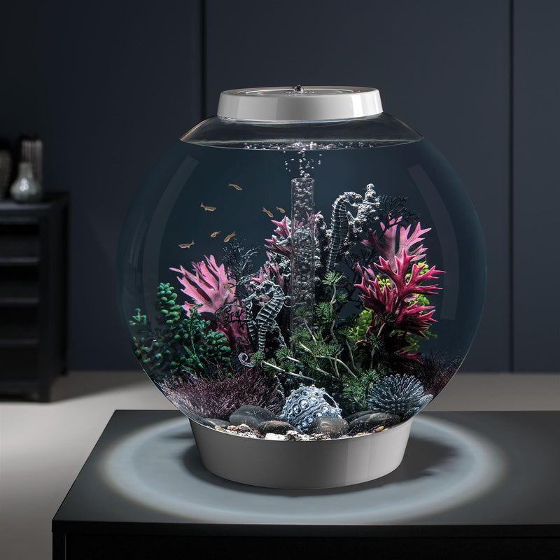 biOrb Classic 60L Silver Aquarium with MCR LED Lighting