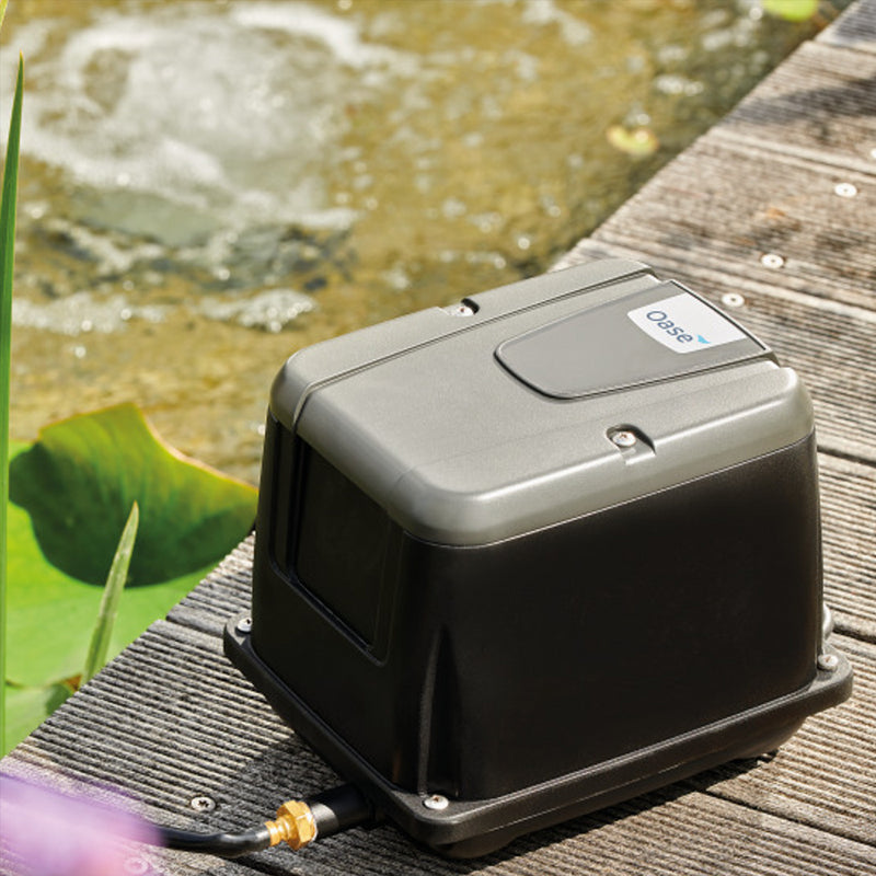 Oase AquaOxy Pond Air Pumps