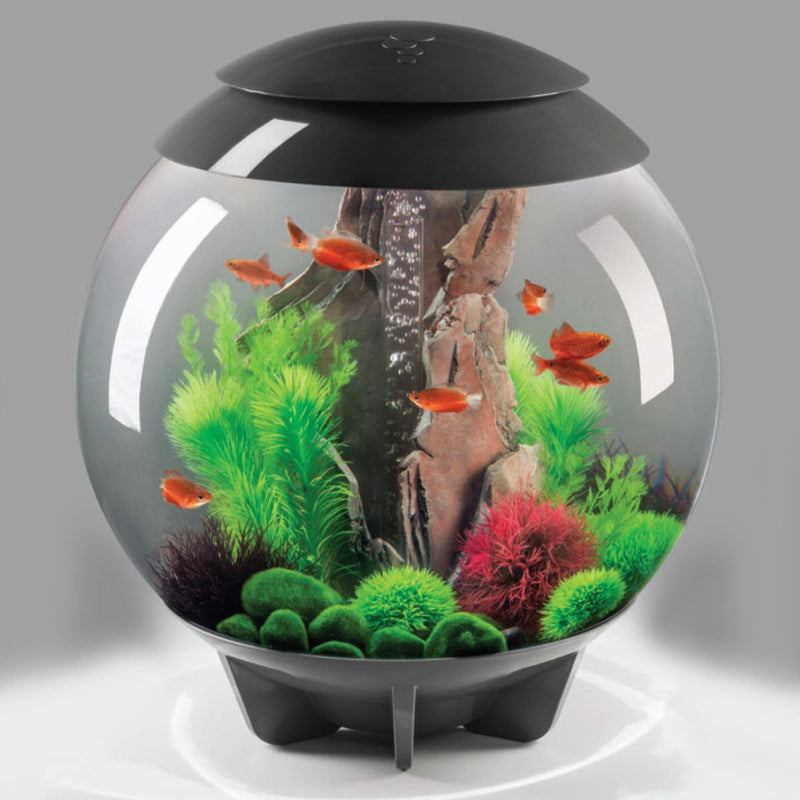 Oase biOrb Ornament Slate Aquarium Sculptures