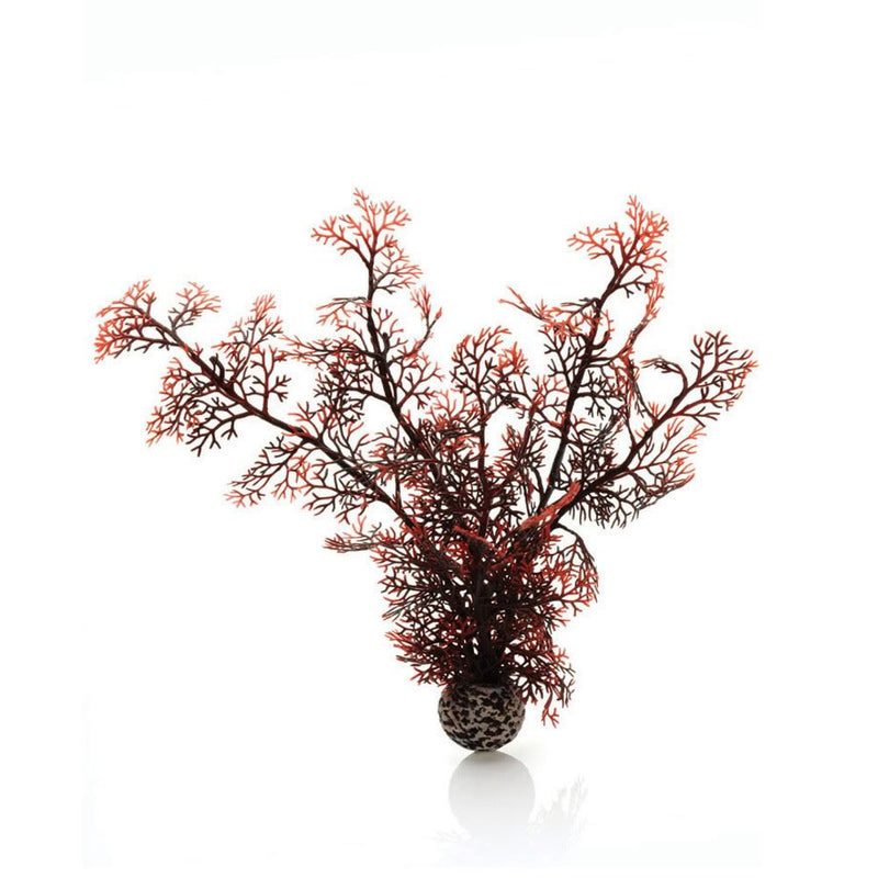 Oase biOrb Sea Fan Aquarium Plants