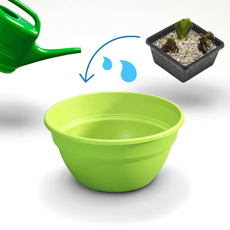 Moerings Patio Pond Plant Set