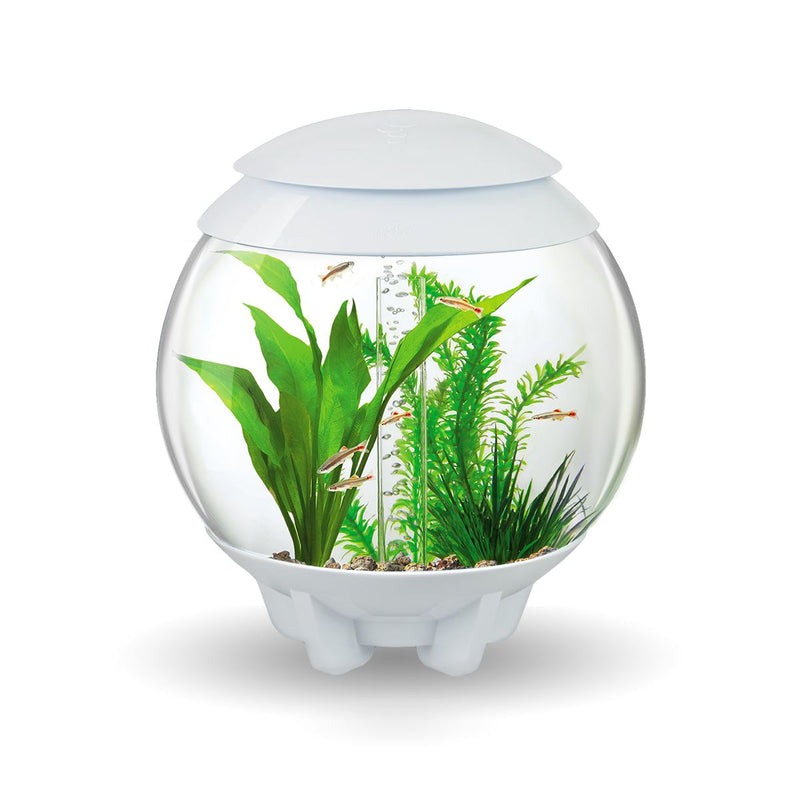 BiOrb Halo 15L Aquarium White with MCR Lighting