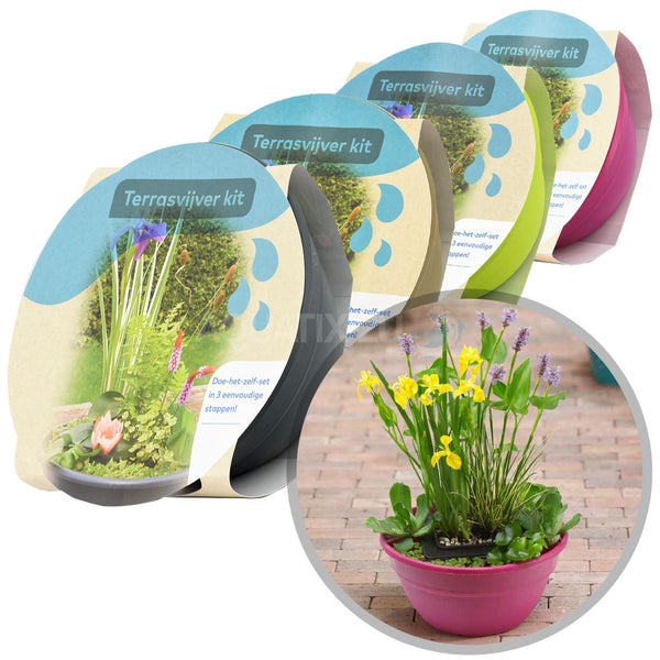 Moerings Patio Pond Plant Set