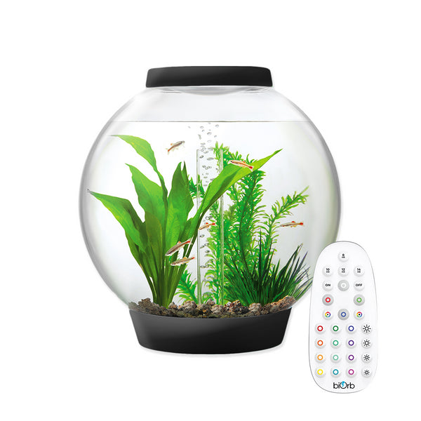 Baby biOrb 15L Black Aquarium with MCR LED Lighting