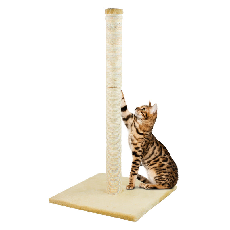 KCT Cat Scratching Posts