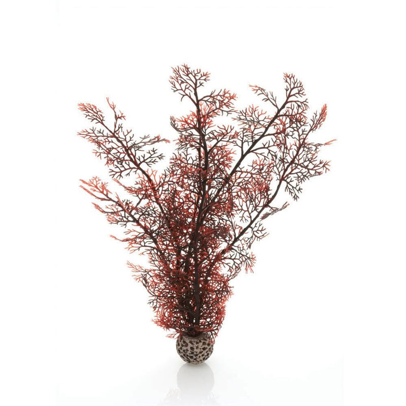 Oase biOrb Sea Fan Aquarium Plants