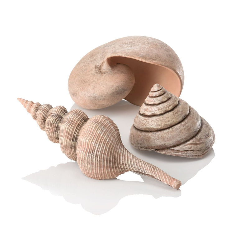 biOrb Sea Shells Set Aquarium Decorations