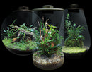 BioArt Nano LED Terrarium Tanks