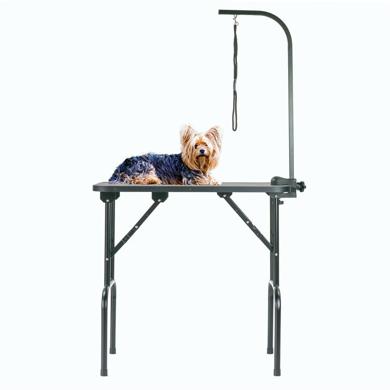 Dog Grooming Table – Portable/Foldable with Leash Tether