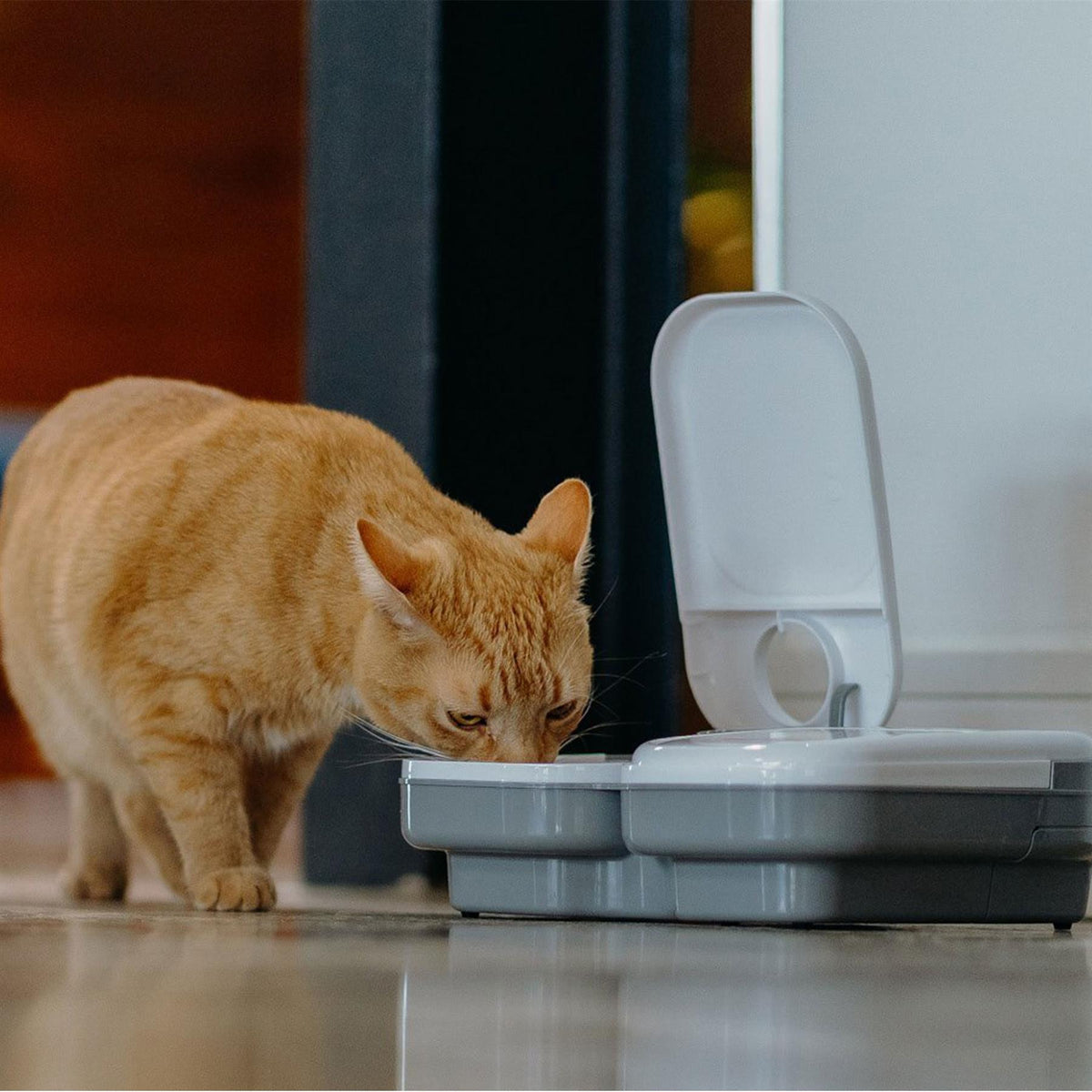 Cat Mate C200 Automatic Pet Feeder Double Auto Feeding Timer Bowl