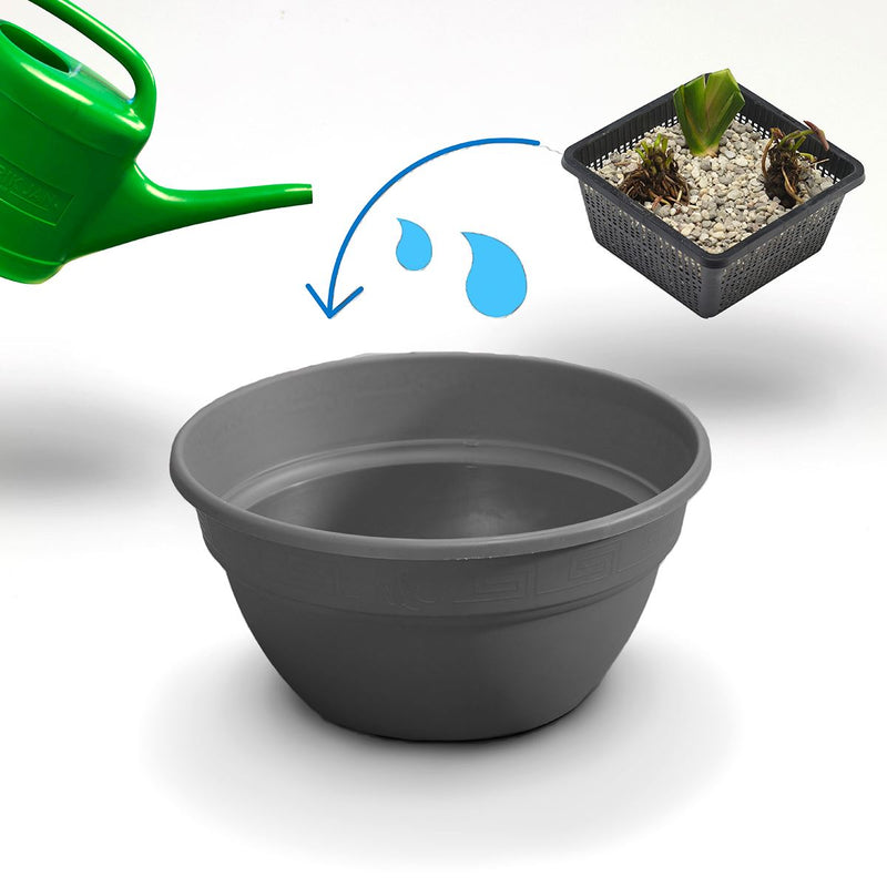 Moerings Patio Pond Plant Set