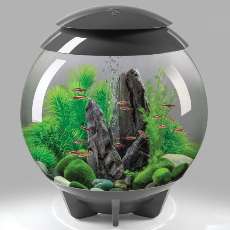 Oase biOrb Aquarium Marble Pebble Packs