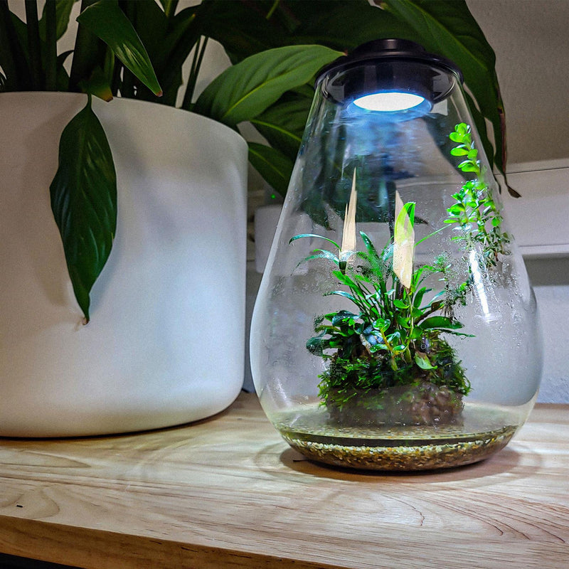 BioArt Nano LED Terrarium Tanks