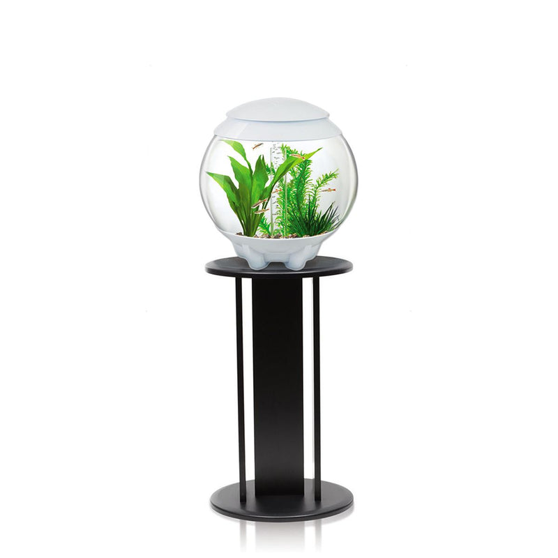 BiOrb Halo 15L Aquarium White with MCR Lighting