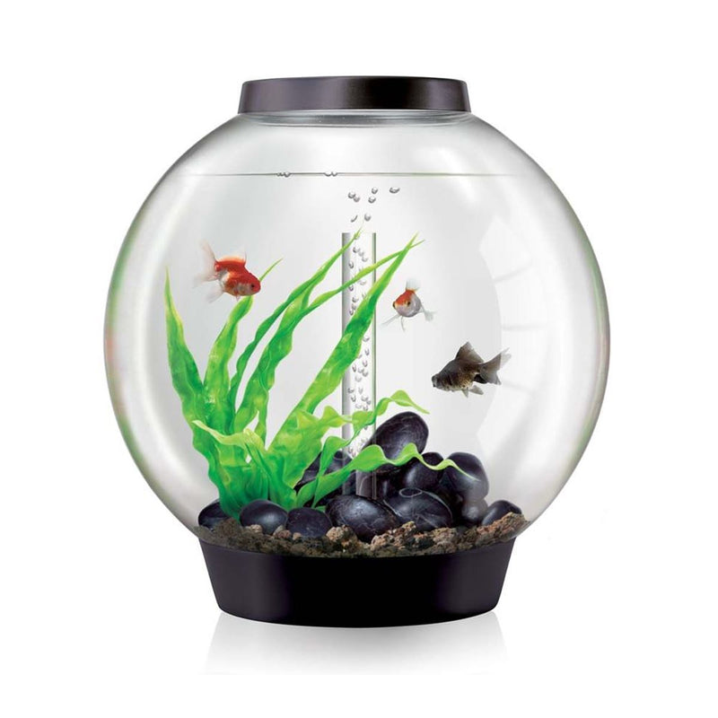 biOrb Classic 60L Black Aquarium with MCR LED Lighting