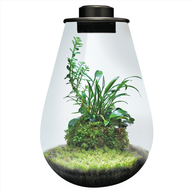 BioArt Nano LED Terrarium Tanks