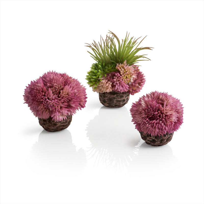 biOrb Coral Ball Sets Aquarium Decoration