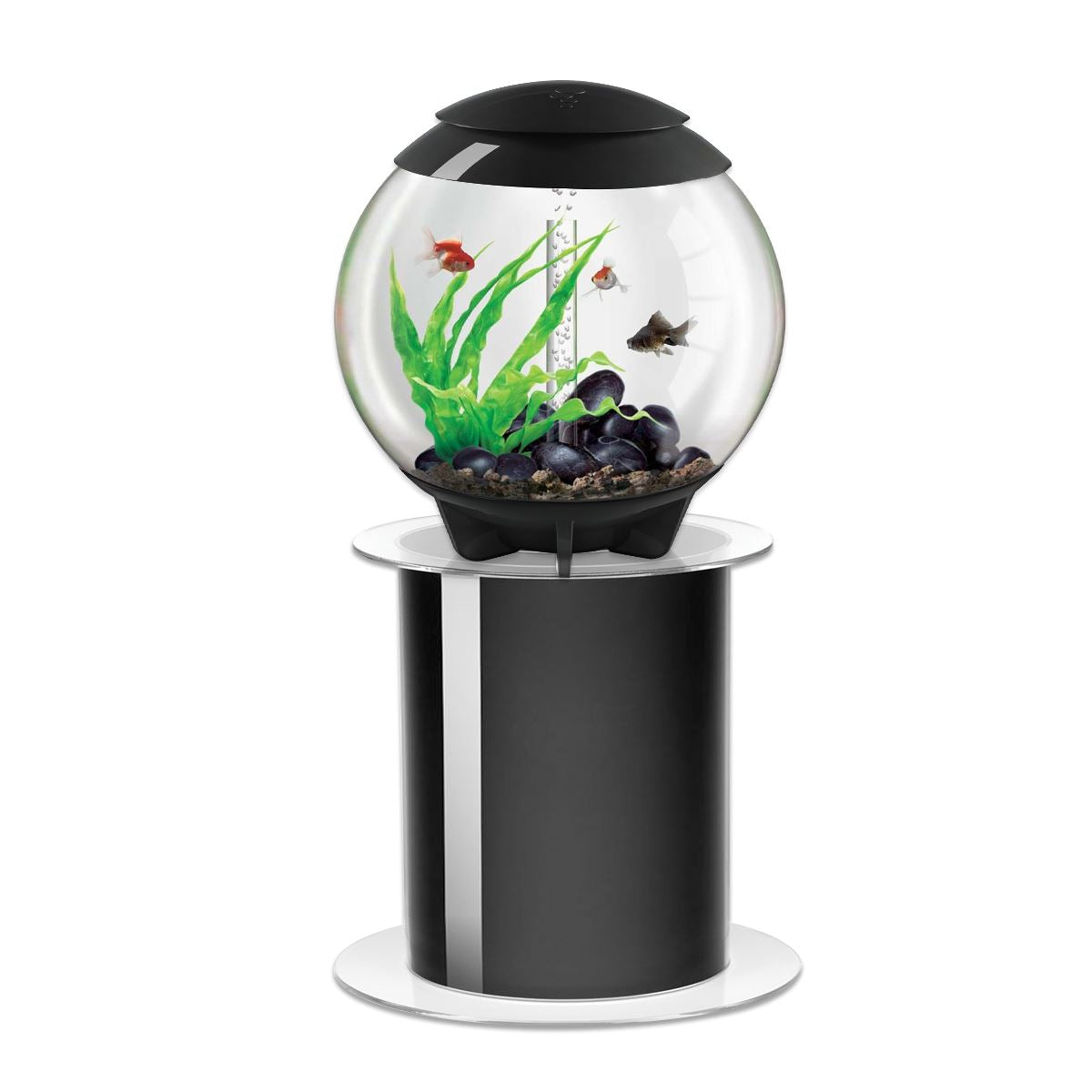 60l fish tank best sale